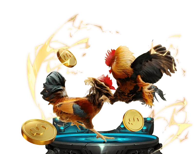 Tổng quan về đá gà trực tuyến 123b0